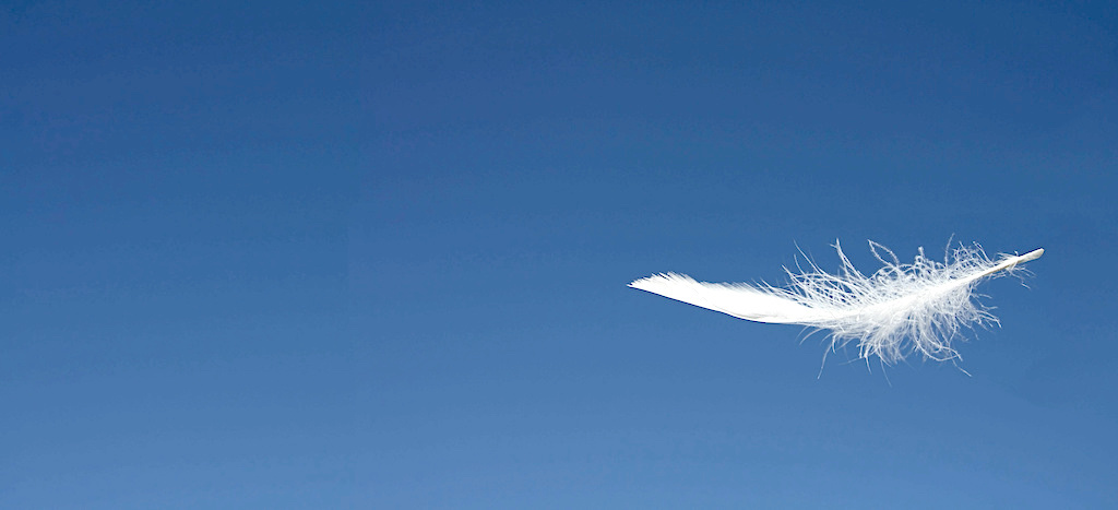 White feather with blue sky